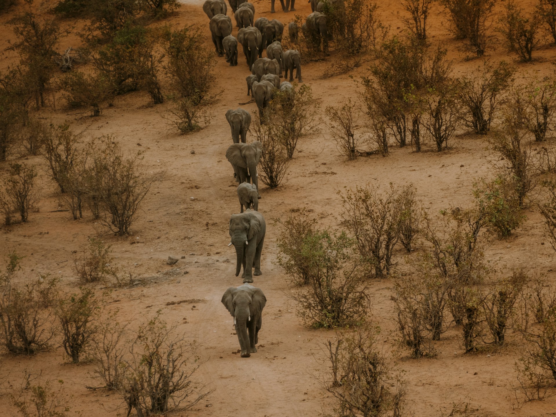Zimbabwe