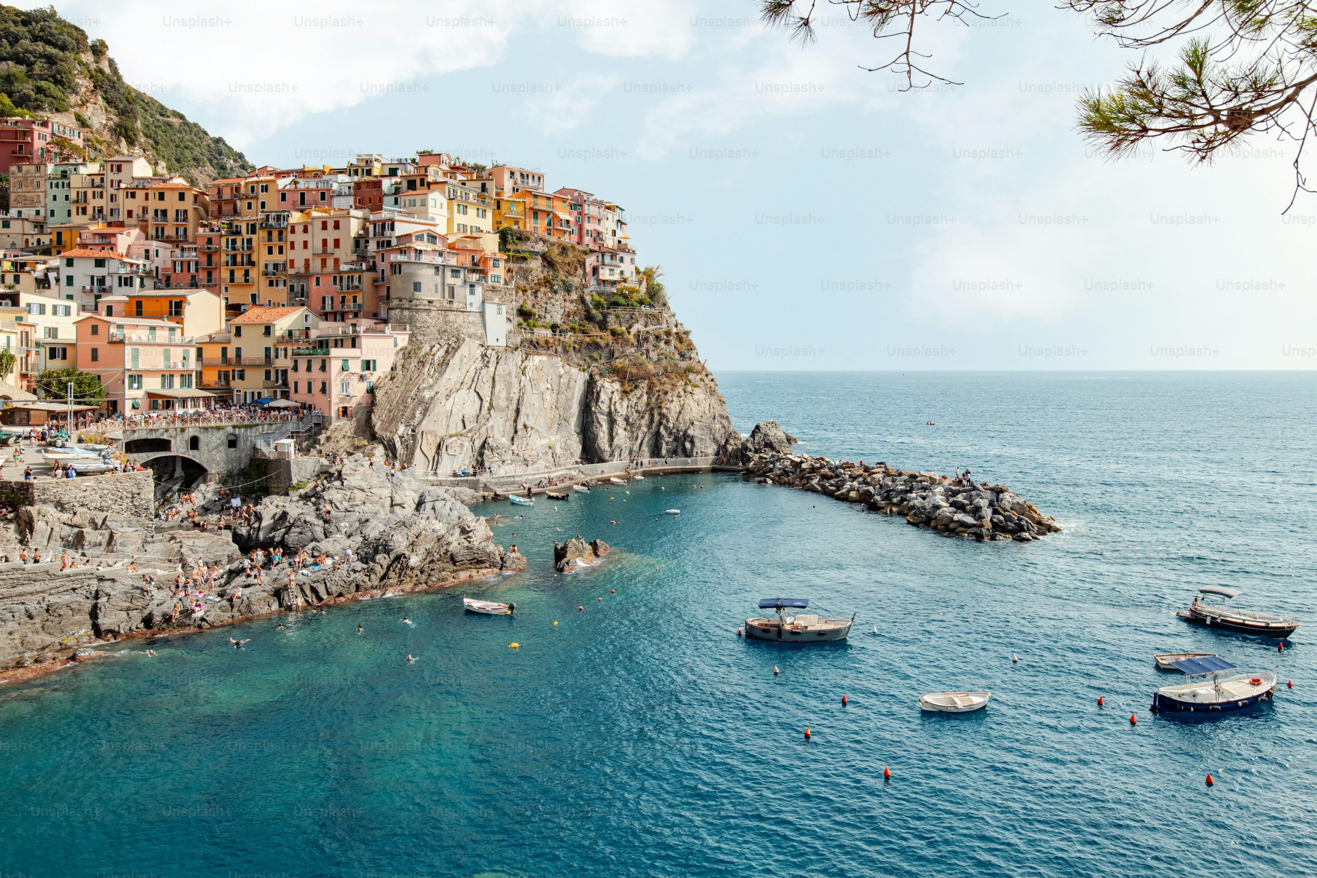 premium_photo-1695735927059-084a7567d303