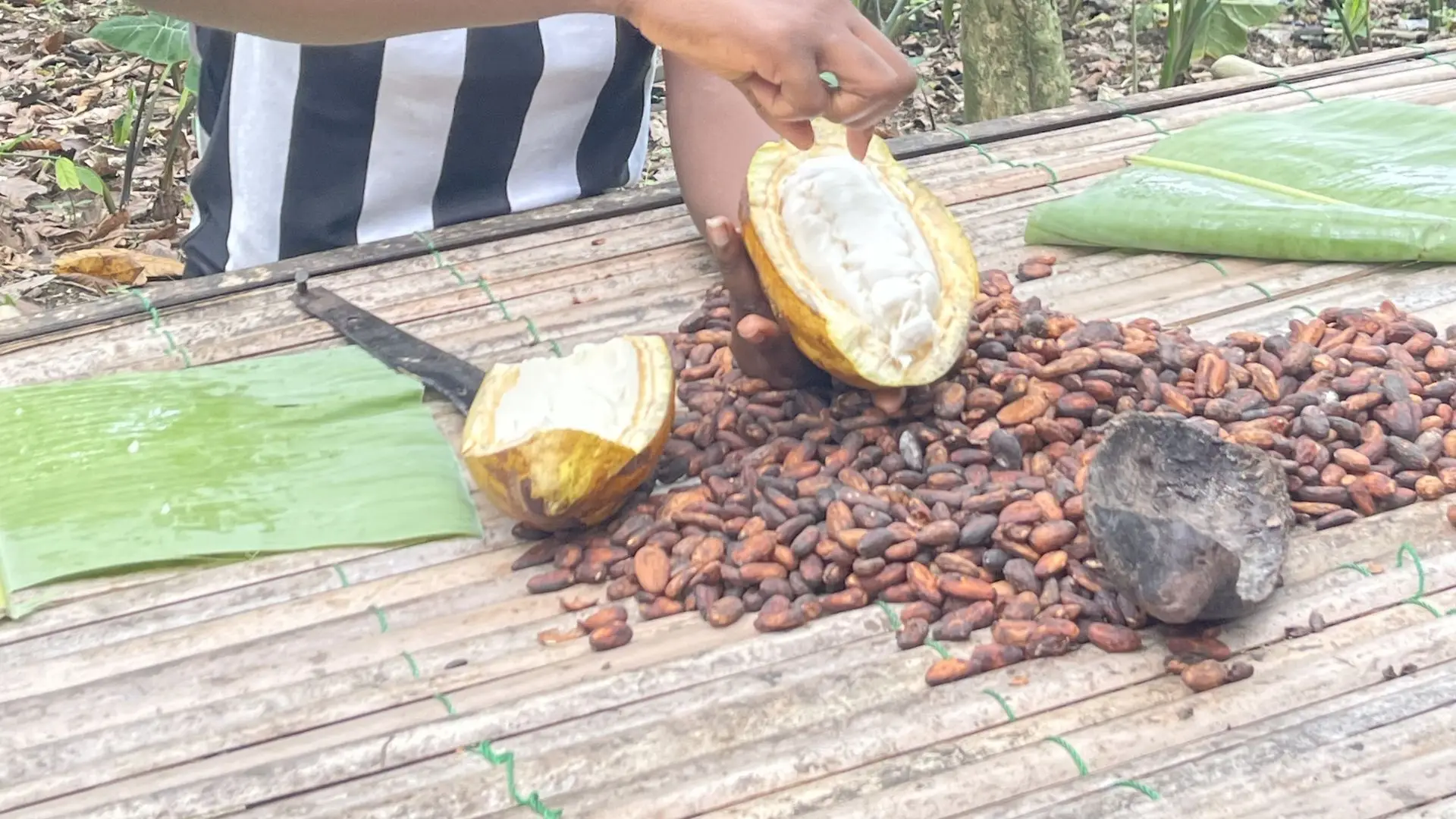 Chocolate Making - Ghana