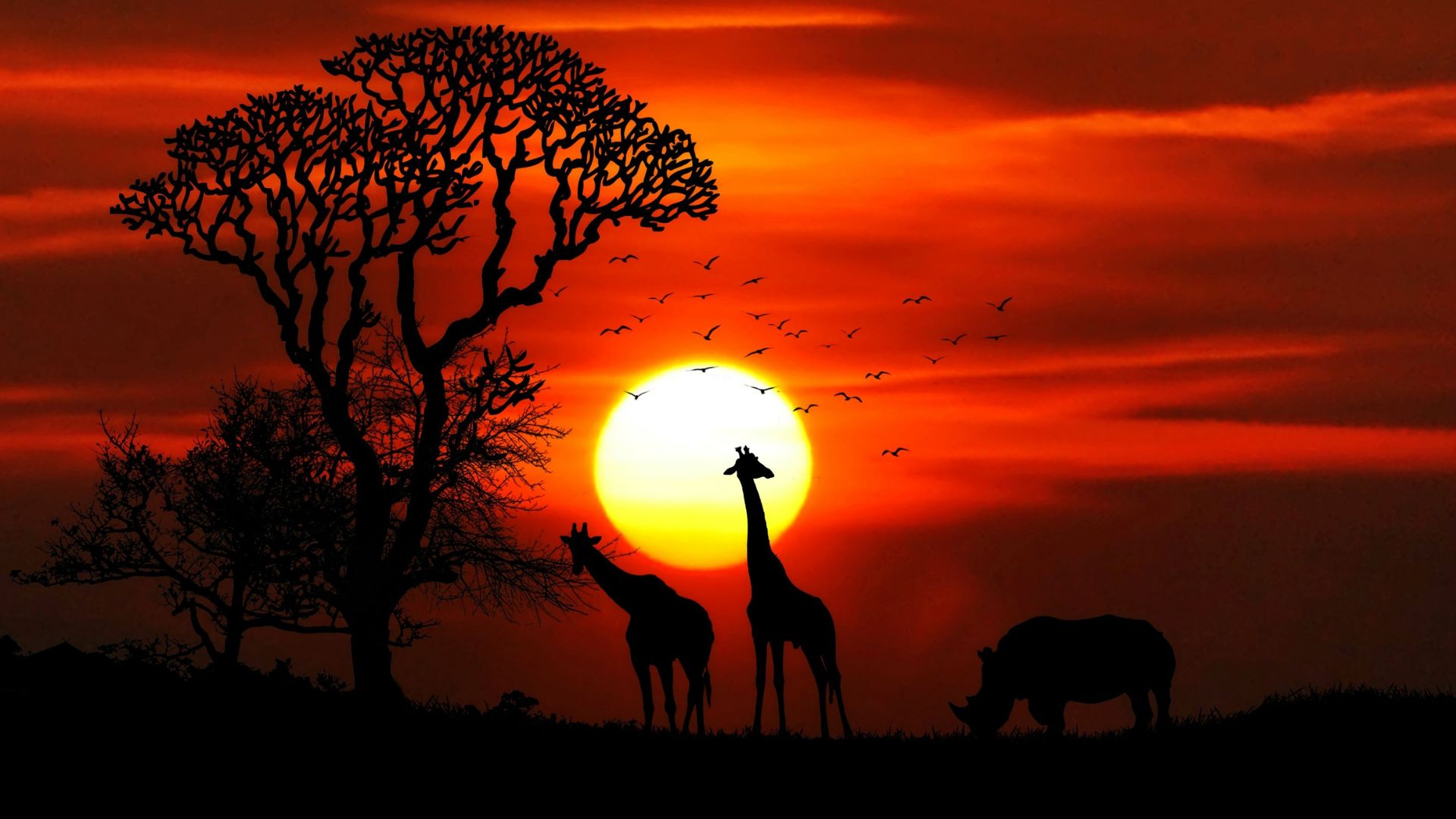 Sunset in the Desert South Africa