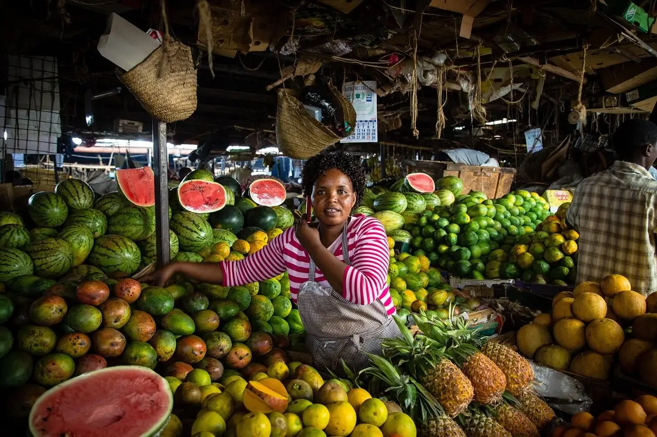 nairobi, kenya, woman, market, water melons, pineapples, business, nairobi, nairobi, nairobi, nairobi, kenya, kenya, kenya, kenya, kenya