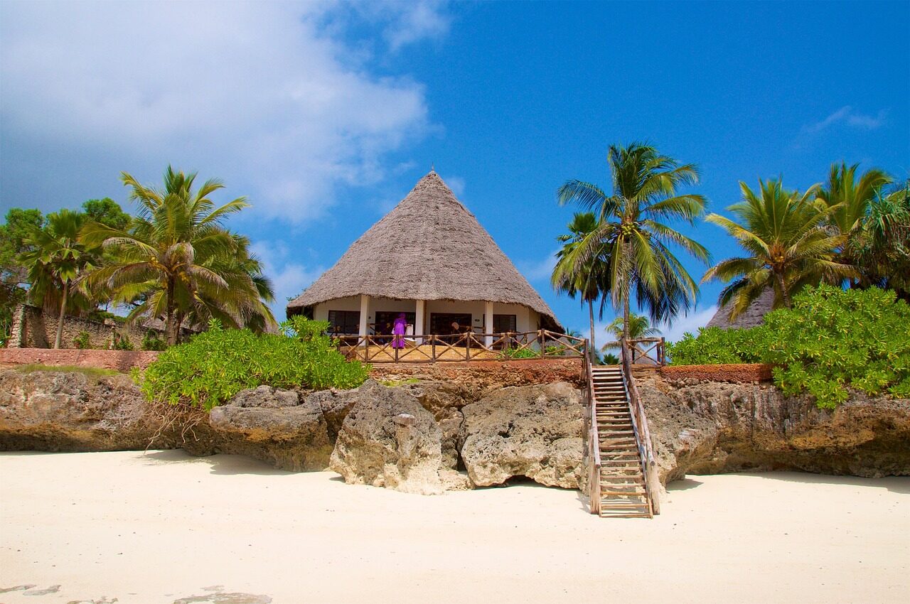 zanzibar, beach, hotel, nature, palm trees