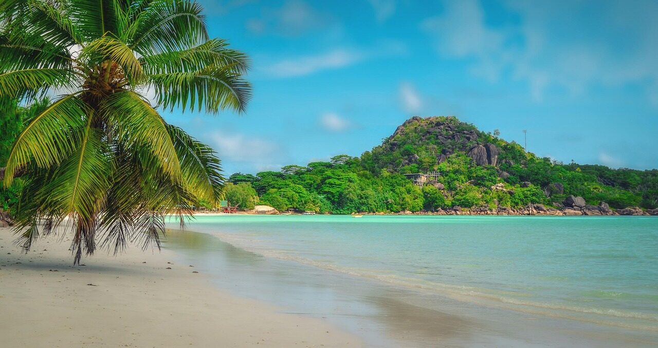 praslin, seychelles, island, beach, the sea, paradise, nature, tropical, ocean, sand, the idyllic, water, holidays, travel, holiday, hour, bathing, relax, palm tree, sand beach, seychelles, seychelles, seychelles, seychelles, seychelles