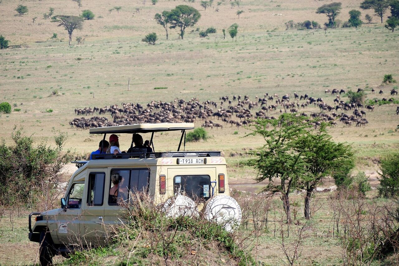 Luxury safari lodge Tanzania couple 40s game drive premium safari vehicle