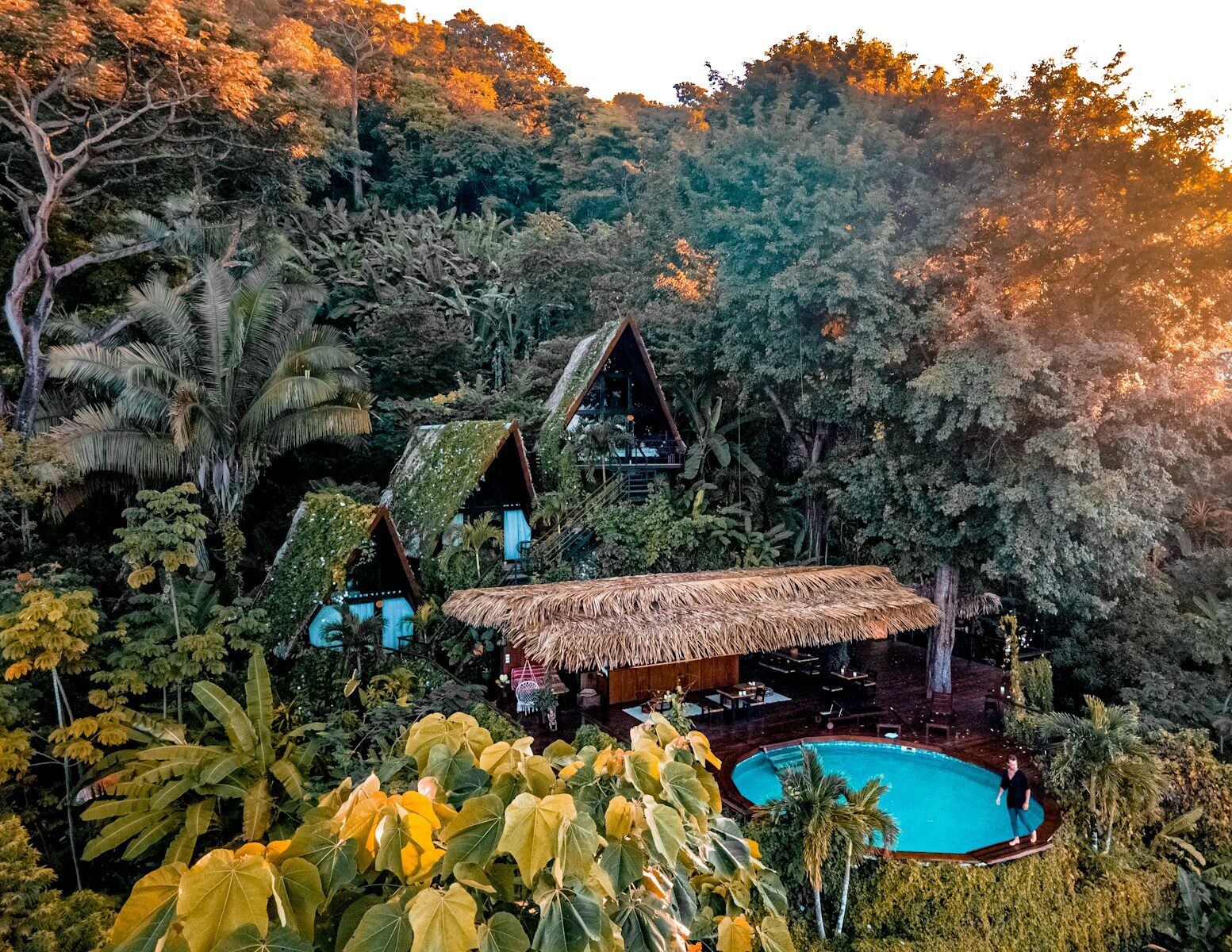an aerial view of a resort with a pool surrounded by trees