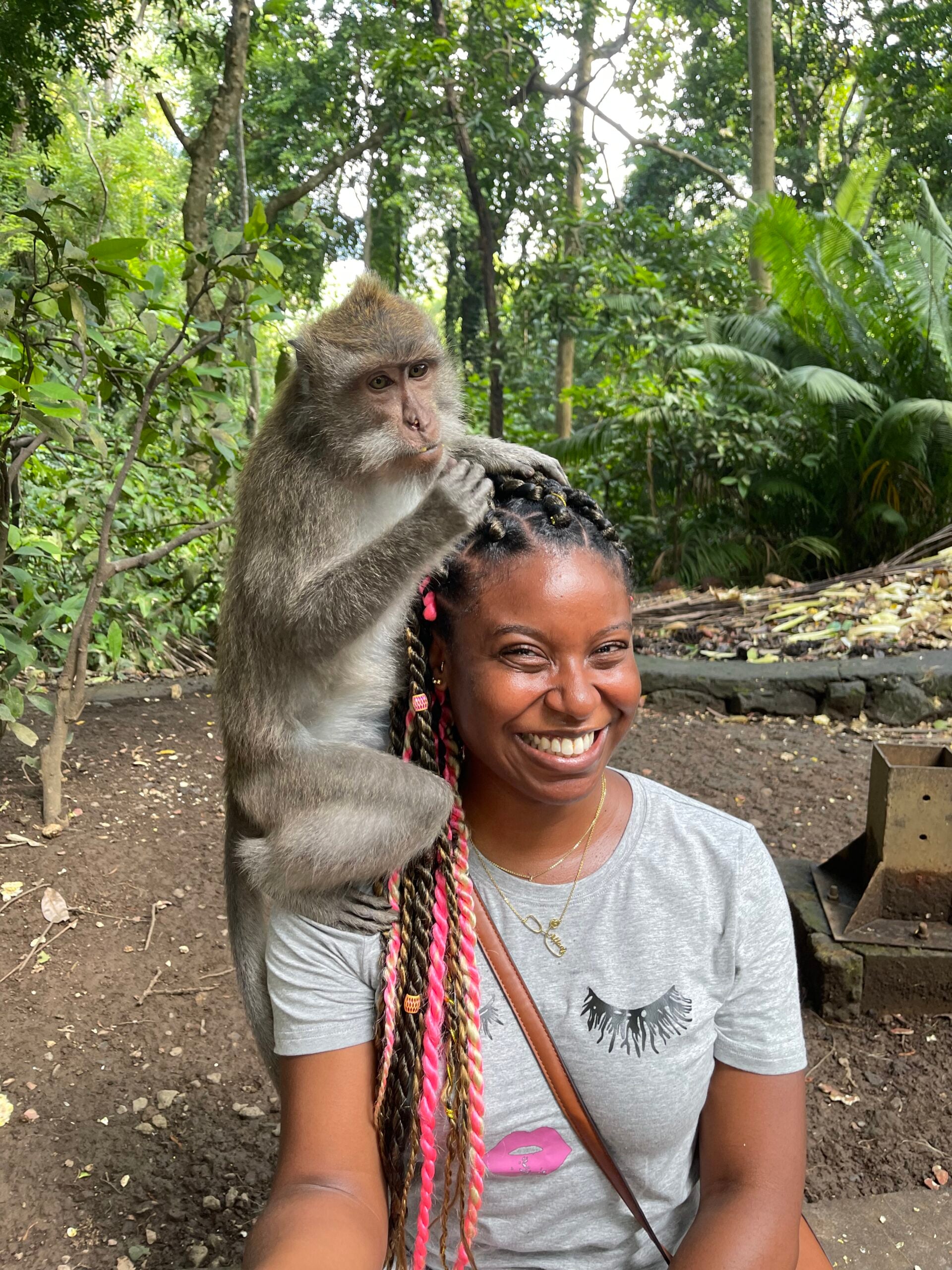 Monkey Forest